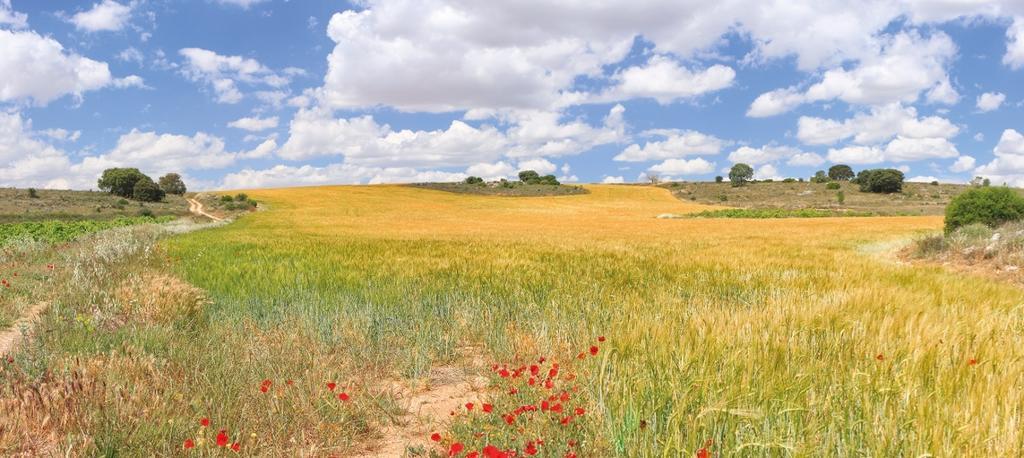 Hotel Rural Plaza Mayor تشينتشون المظهر الخارجي الصورة